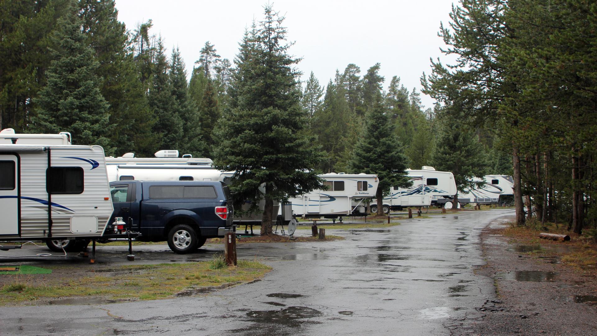 Recreational vehicles parked across a maintained RV park.