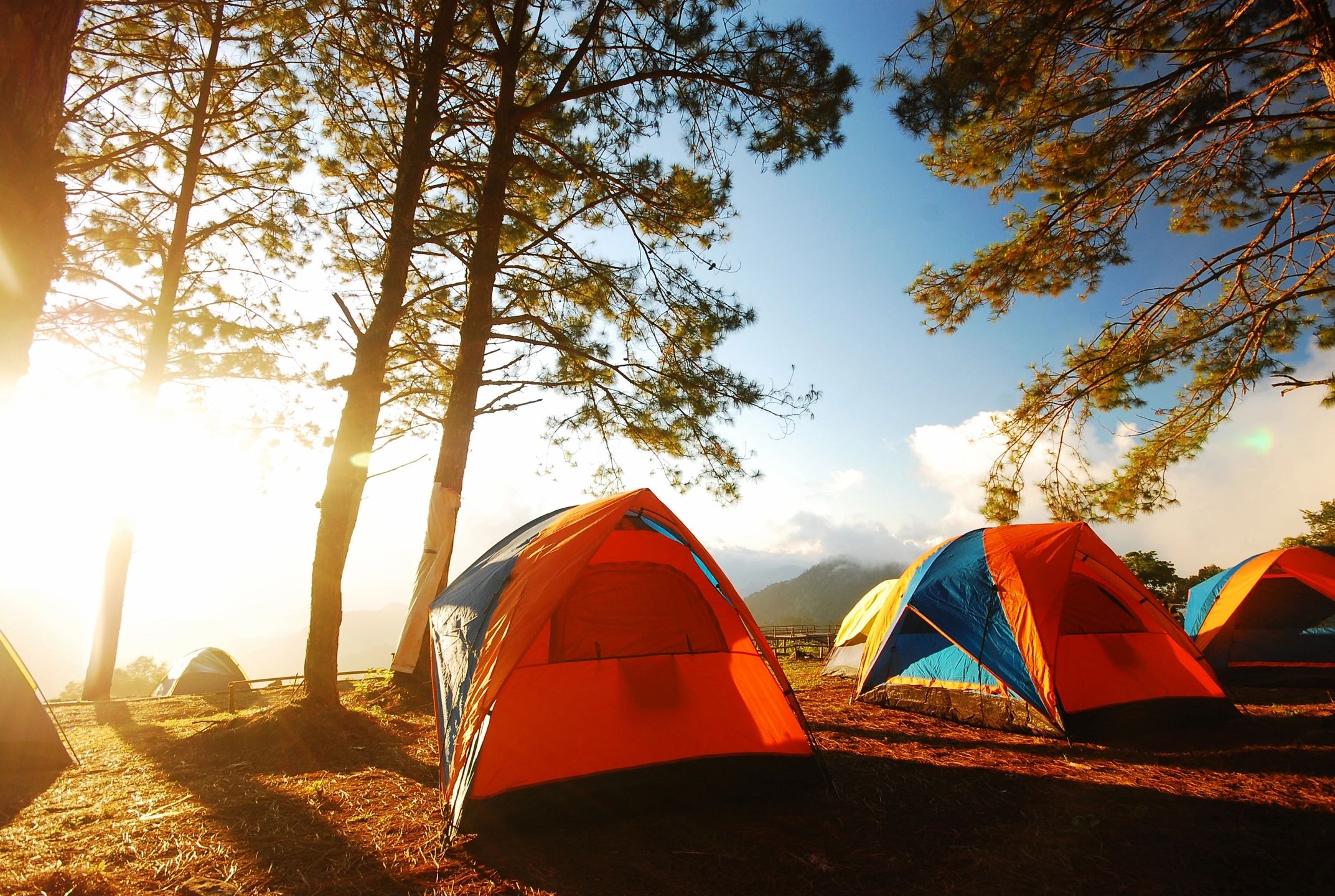 Campground Wireless Network